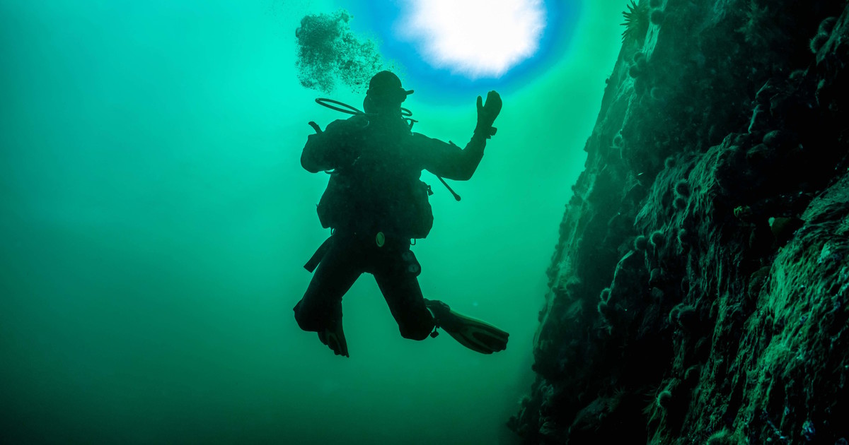 Deep Quebec | Catbird Productions